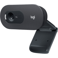 Logitech C505E HD Webcam